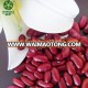 New Crop British Dark Red Kidney Bean