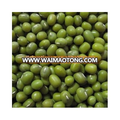 organic mung bean