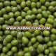 organic mung bean