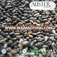 Chia Seeds in bulk exported from the USA (small orders delivered overseas)