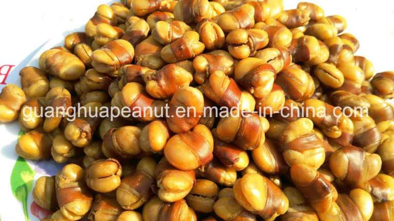 Hot Sale Roasted Broad Bean New Crop 2017