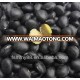 Black bean/black soya bean/black soybean with yellow kernel