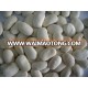 Chinese large white kidney beans