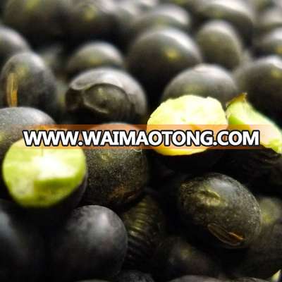 black bean with green kernel