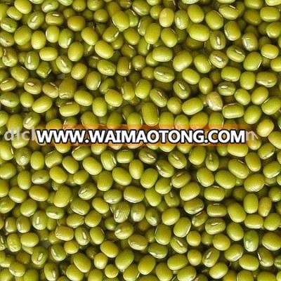 organic mungbean