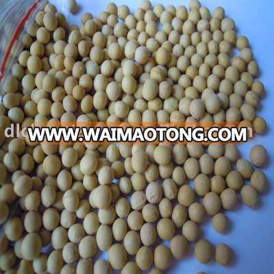 Organic soybean