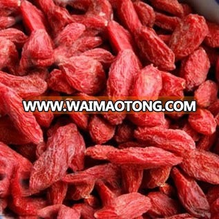 Organic Dried Goji Berry