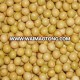 organic soybean for sprouting