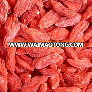 Organic Dried Goji Berry