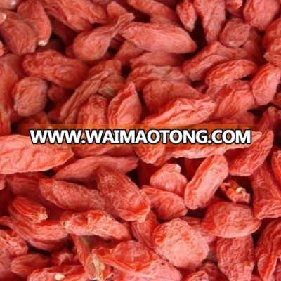 Organic Dried Goji Berry