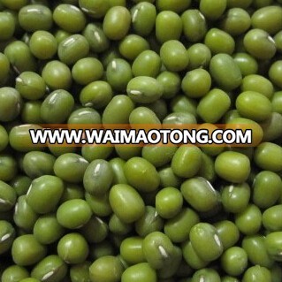 organic mung bean