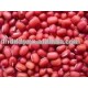 NEW CROP organic adzuki bean