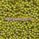 Organic mung bean