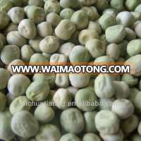 chinese green pea