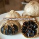 Organic Black Garlic