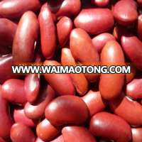 dark red kidney bean