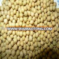 Organic soybean