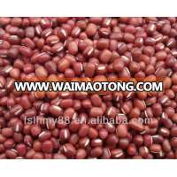 Northwest China selected red bean 3.6-4.8mm