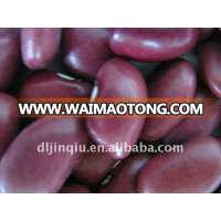 small red kidney bean 2012 crop