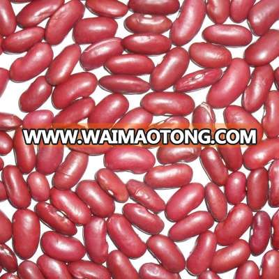 organic red kidney bean