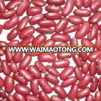 organic red kidney bean