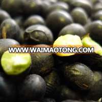 organic black bean(green, yellow kernel)