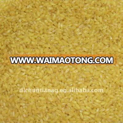 golden rice