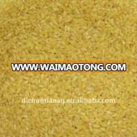 golden rice