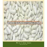 white kidney beans