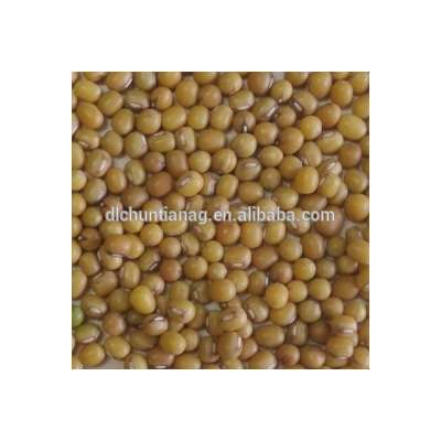 Organic yellow mung bean